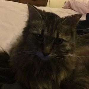 Meet your Posher, Joclyn